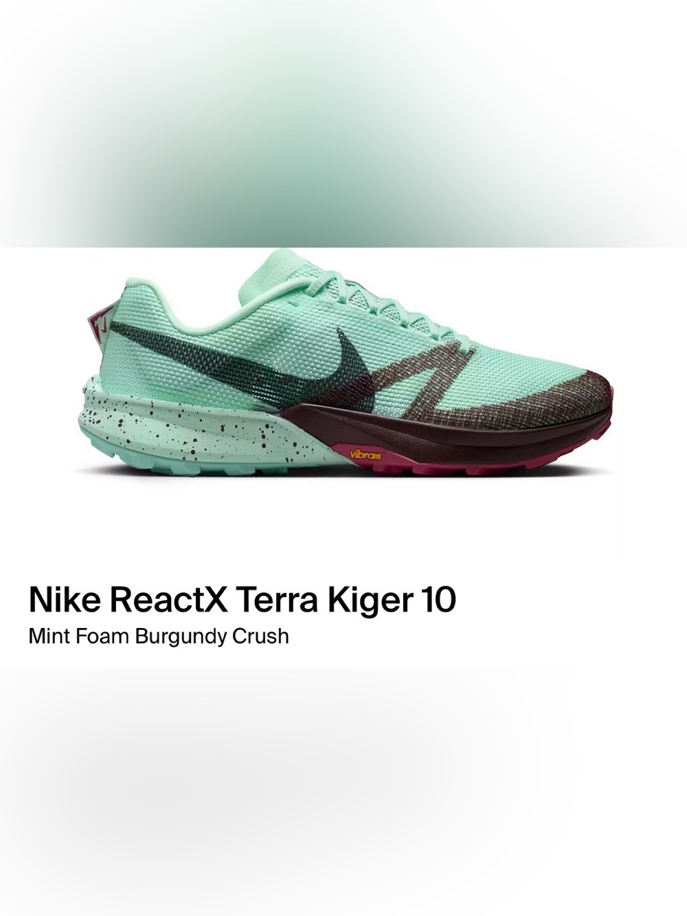 Nike Trail Running Shoe in Mint and Burgundy SIZE 12 (NO BOX!!)